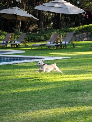 Jardín