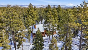 A cabin surrounded by snow-covered ground and pine trees. - Willis Woods Cabin w/ Arcades and Fire Pit (Duck Creek Village)