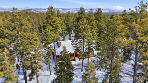 Exterior - Willis Woods Cabin w/ Arcades and Fire Pit (Duck Creek Village)