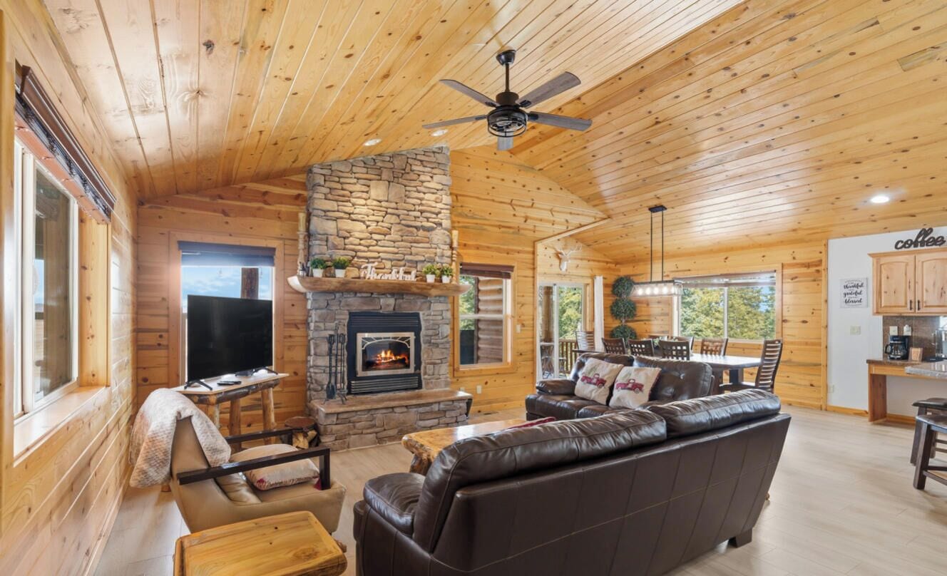 TV, fireplace, video games