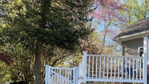 A stone staircase leading to a white gate, surrounded by greenery and a tree.