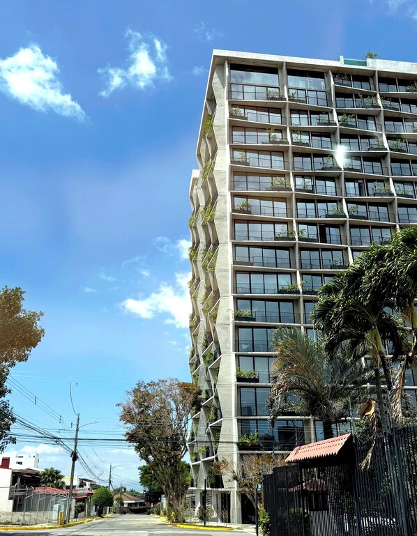 星評価なしの画像、1 / 12、ボタン