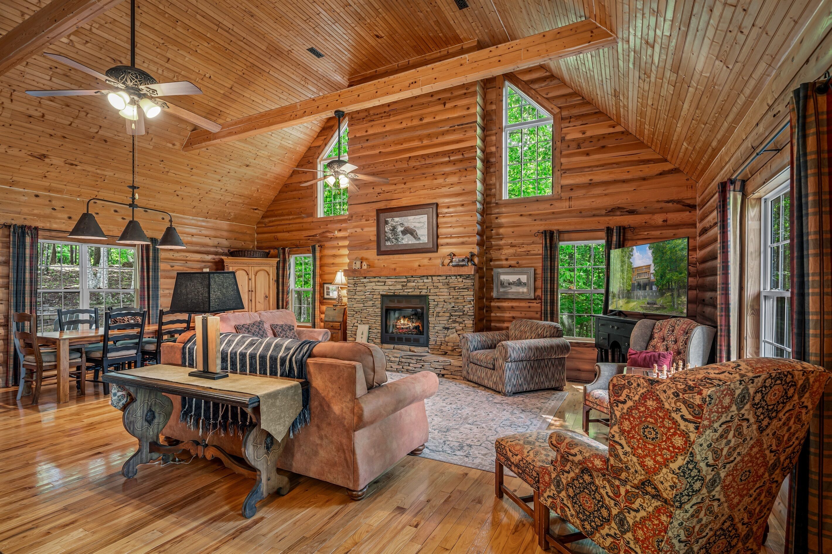 Smart TV, fireplace, books
