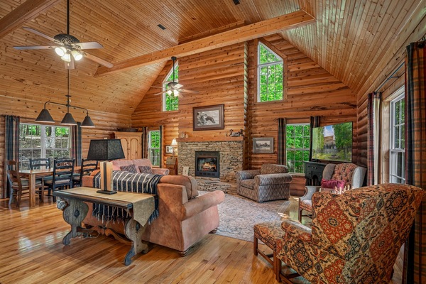 Smart TV, chimenea y libros