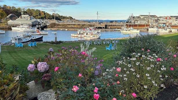 Un port de plaisance avec des bateaux amarrés, une zone herbeuse avec des chaises et une variété de fleurs.