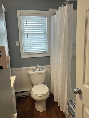 Hair dryer, towels, soap, toilet paper