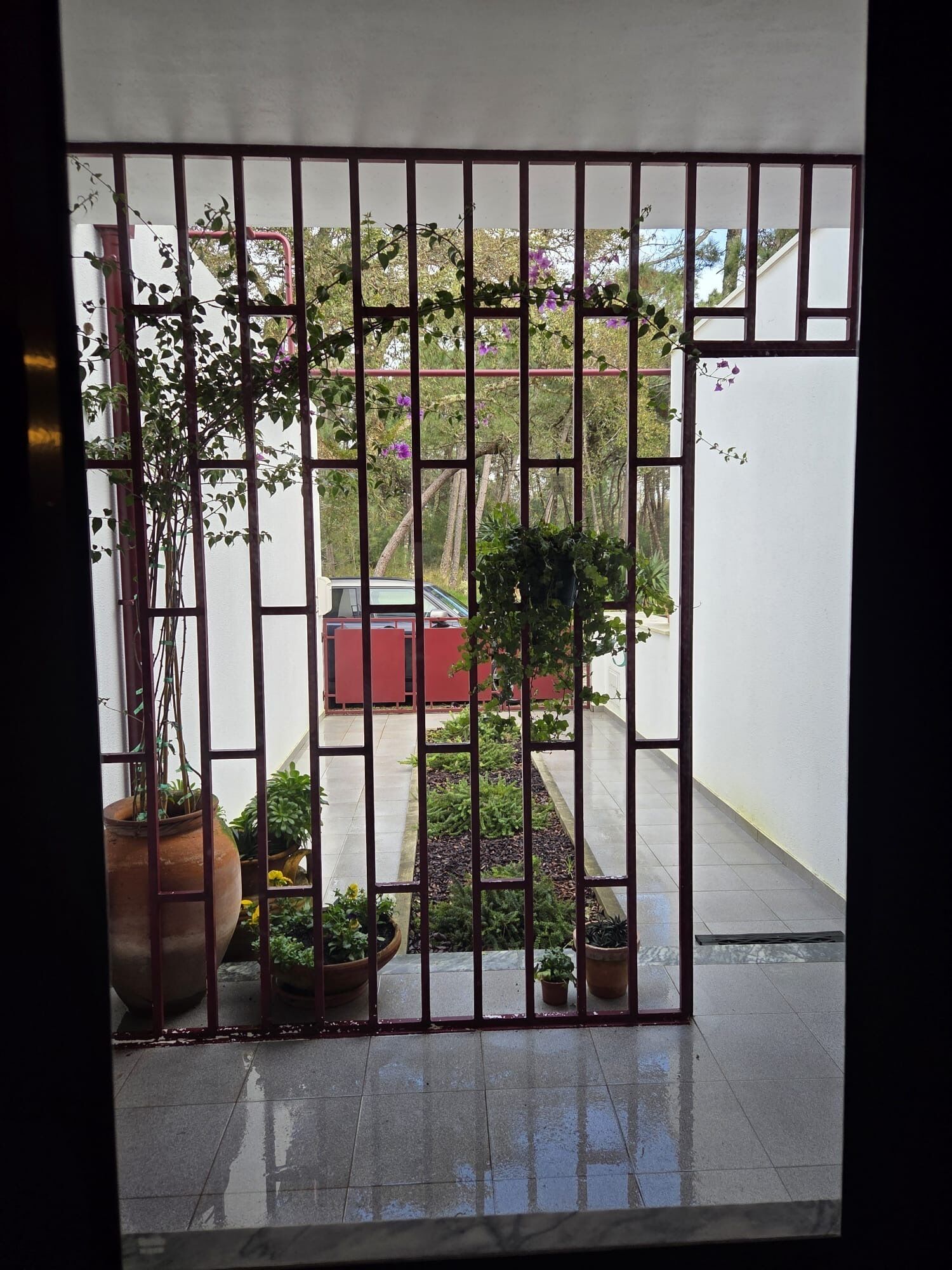 Une vue à travers une grille métallique donnant sur une cour intérieure où l’on aperçoit des plantes en pot et une voiture rouge garée au fond.