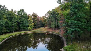 Property grounds - Private Cabin, forest retreat near Wolf Pen Gap (Mena)