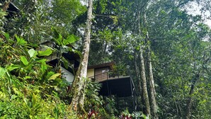 Una casa sull'albero con un balcone, immersa in una fitta vegetazione tropicale.