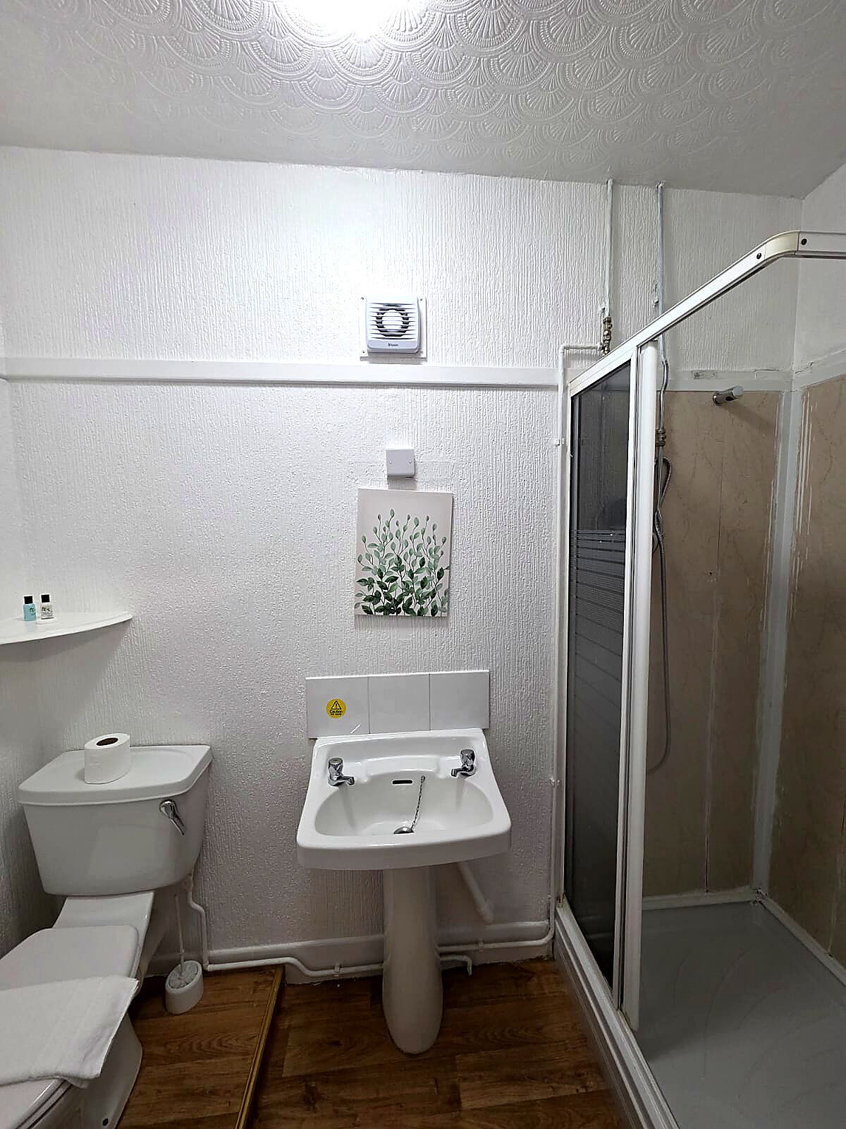 Shower, soap, shampoo, toilet paper