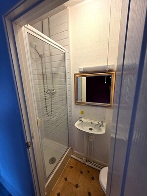 A small bathroom with a glass shower enclosure, a sink, and a toilet.