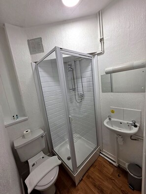 A bathroom with a glass-enclosed shower, a toilet, a sink, and a mirror.