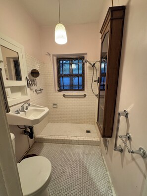 Shower, towels, soap, toilet paper - Charming Historic Downtown Apartment, One Bedroom, with Enclosed Patio (Tucson)