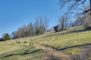 Niet-geclassificeerde afbeelding, 2 van 30, knop