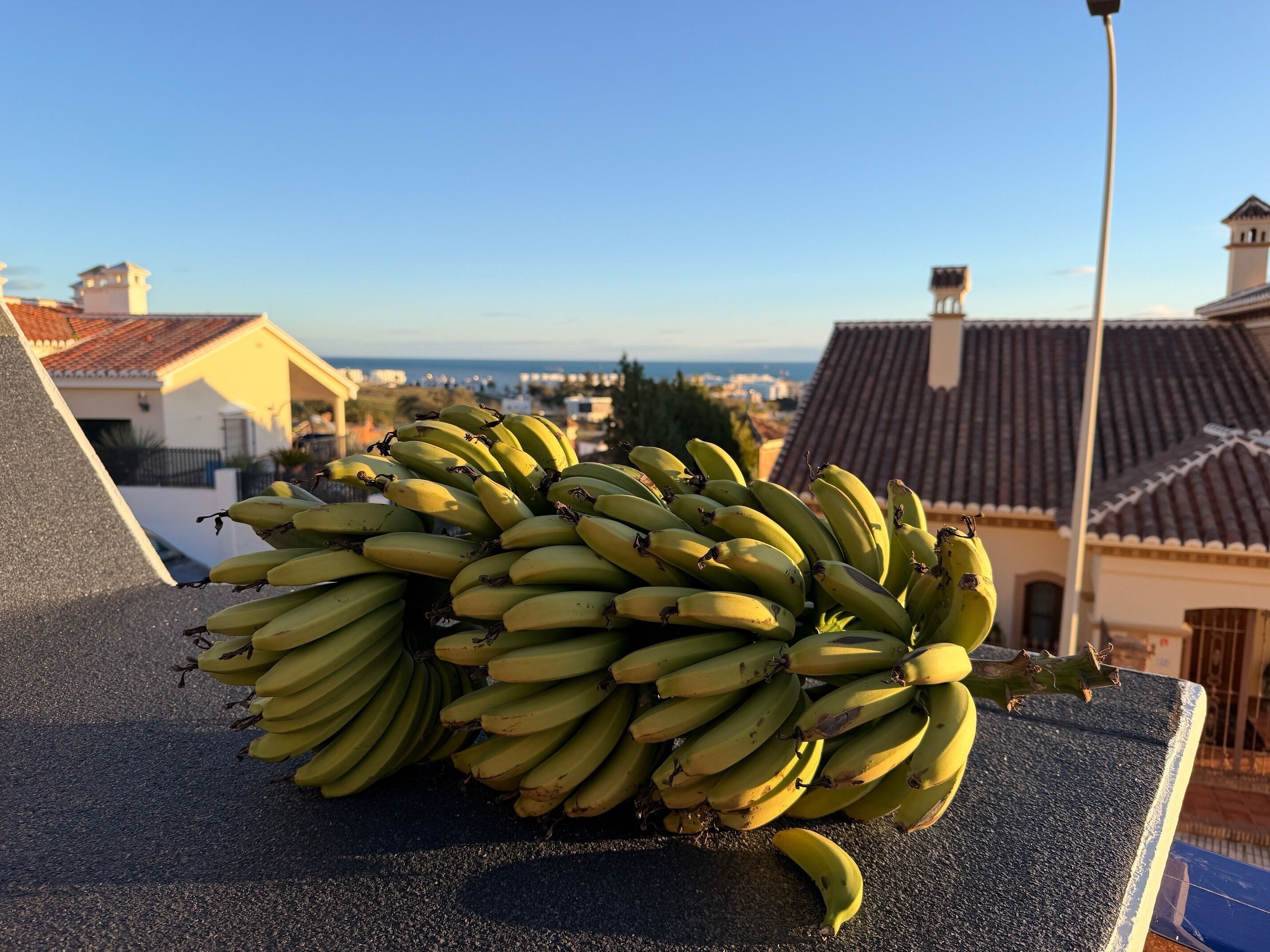 A rooftop with a large bunch of bananas.