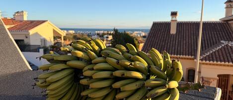 A rooftop with a large bunch of bananas.