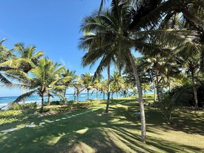 Property grounds - Beachfront Bungalow Studio with Private Pool • Steps to Kite Beach in Cabarete (Cabarete)
