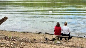 Dos personas sentadas en un banco junto a un lago tranquilo con una orilla boscosa.
