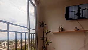Une pièce dotée d’une grande fenêtre, d’une plante en pot, d’une étagère ornée d’objets décoratifs et d’un téléviseur fixé au mur.