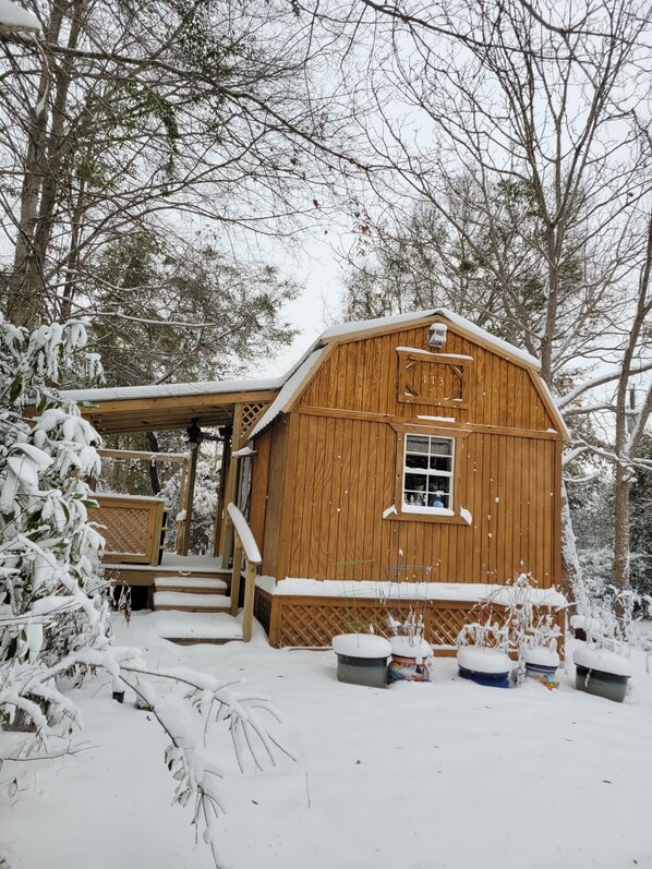 A wooden cabin with a porch and steps leading to a door, surrounded by snow-covered trees.