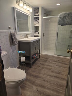 Shower, hair dryer, towels, soap