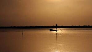 A sunset over a calm body of water with a silhouette of a person on a paddleboard.