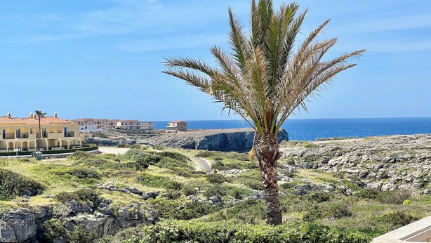 A coastal landscape with a palm tree, rocky terrain, and buildings in the background. - Son Bepa , (Cales Piques)