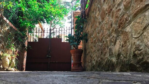 A stone wall with a potted plant and a metal gate. - Città Giardino B&B - Un'oasi di tranquillità vicino la metro Conca d'Oro (Roma)