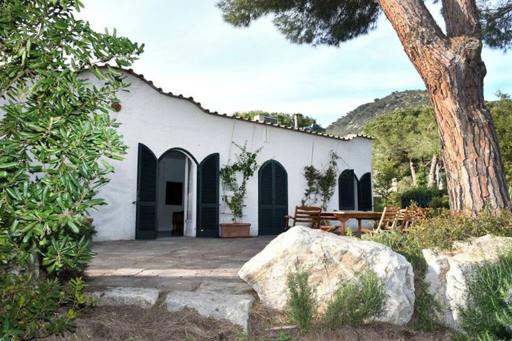 Un bâtiment blanc avec un escalier en pierre menant à une porte, le tout entouré de verdure et d’un grand arbre.