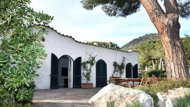 A white building with a stone staircase leading to a door, surrounded by greenery and a large tree. - Green Oasis Elba- outdoor privacy & walk to the beach- privacy, greenery and the sea (Lacona)