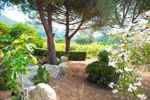 Ein Garten mit gepflastertem Weg, großen Bäumen und verschiedenen Pflanzen.