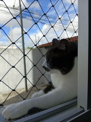 Photo non classée, 3 sur 19, bouton