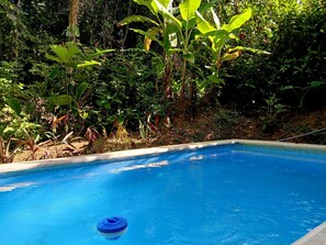 Pool - Cabaña Green Macaw - Jungle Retreat w/ Plunge Pool (talamanca)