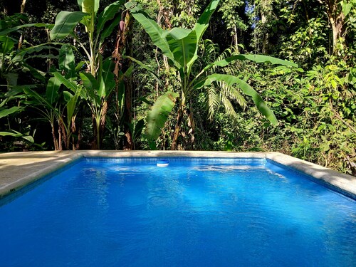 Cabaña Green Macaw - Jungle Retreat w/ Plunge Pool