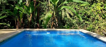 Cabaña Green Macaw - Jungle Retreat w/ Plunge Pool