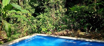 Cabaña Plumeleteer - Hidden Jungle Cabin & Pool