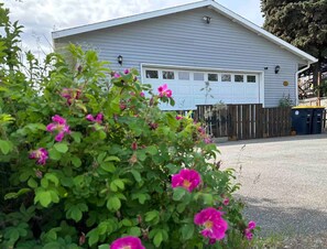 Unclassified image, 4 of 13, button