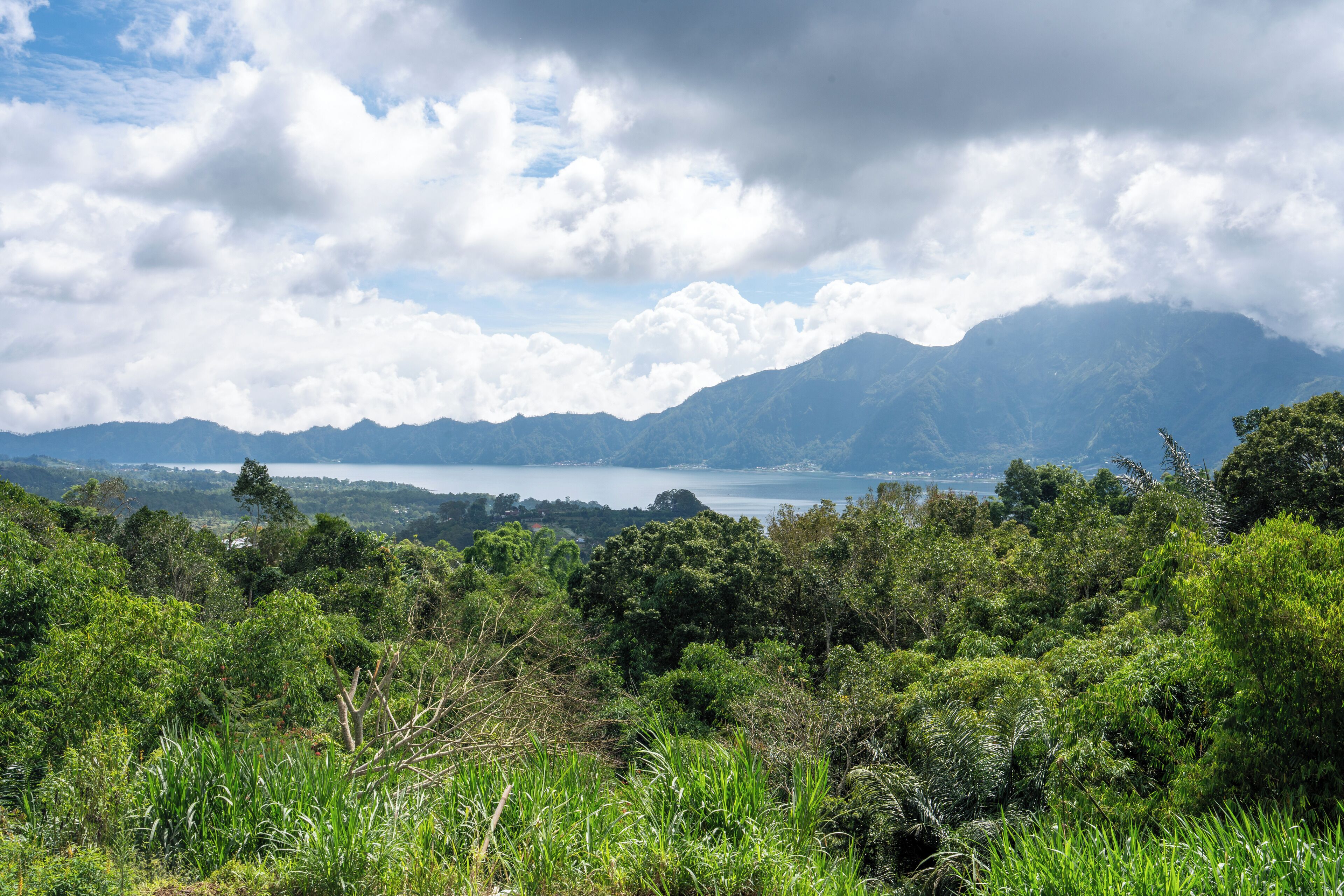 Panoramic Villa, 1 Bedroom, Private Pool, Mountain View