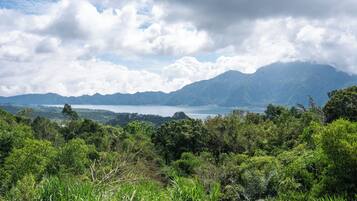 Panoramic Villa, 1 Bedroom, Private Pool, Mountain View