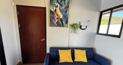 Quinta Los Monos : Private Swimming Pool : Pet-friendly