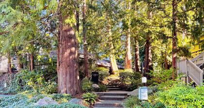Downtown Bellevue 2BR Condo Free Reserved Parking