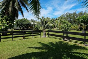 Unclassified image, 3 of 15, button - Fare Torehau (Moorea-Maiao)