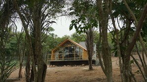 Une cabane en bois avec une façade en verre, entourée d’arbres et située sur un terrain en terre battue.