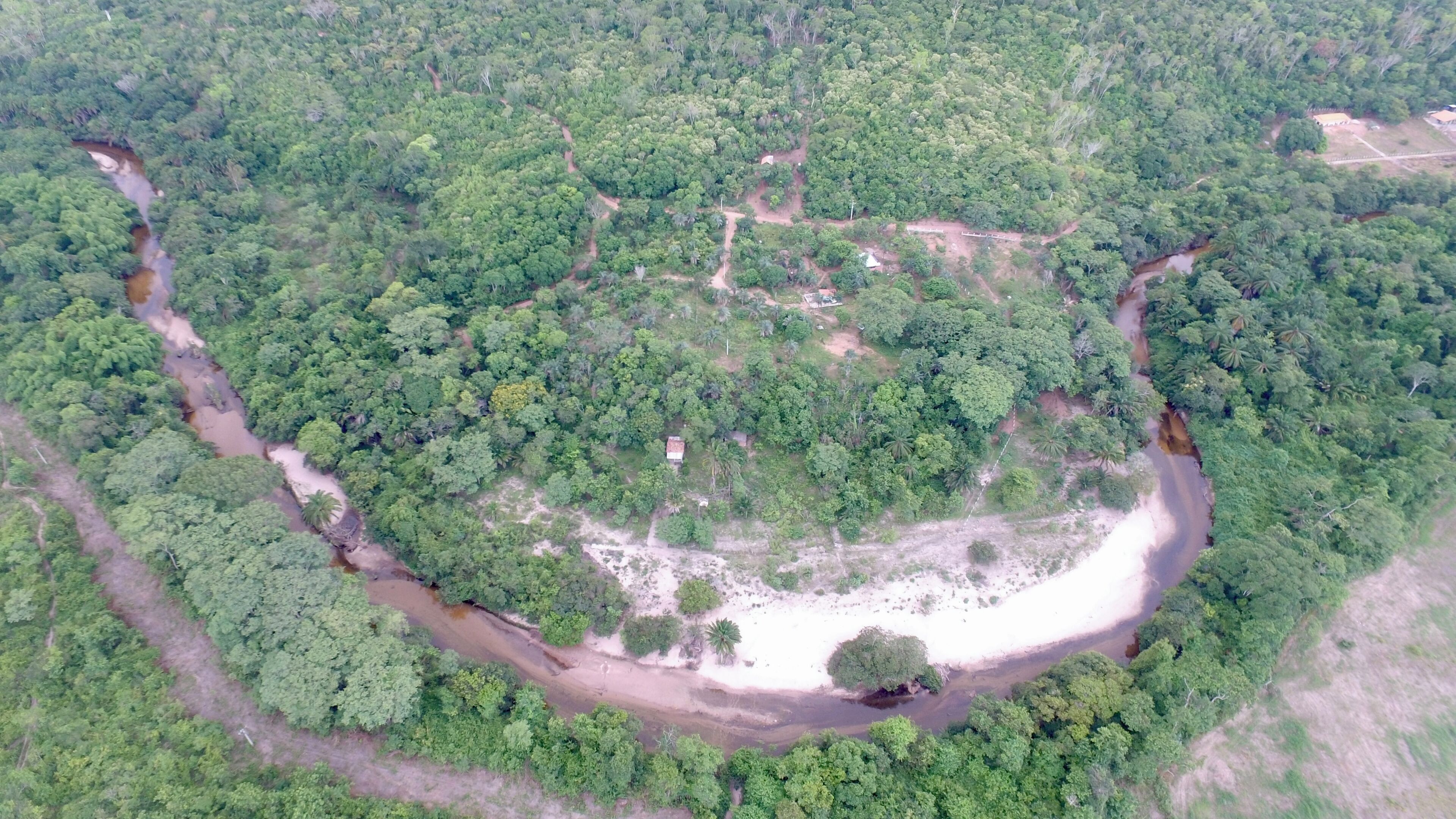 An aerial view of a dense forest with a river meandering through.