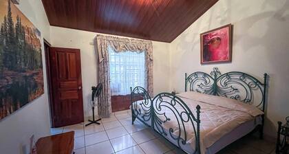 Spacious mountain view house in Perez ZeledĂłn