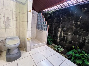 Shower, hair dryer, bidet, towels