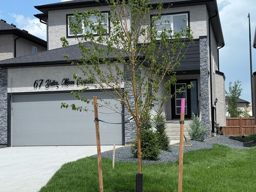 Warm, Inviting Basement Suite • Quiet Stay in a Safe, Upscale Area