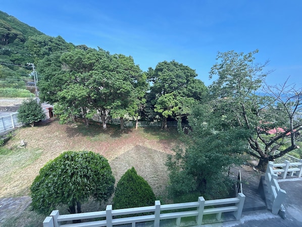 A view of a park with various trees and a white fence.