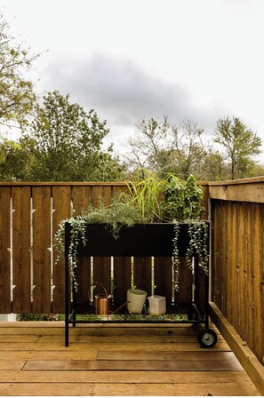 Property grounds - Secluded and Central Hyde Park Casita (Austin)