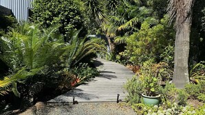 Ein Weg führt zu einem Gebäude, umgeben von üppiger Vegetation und einer Palme.